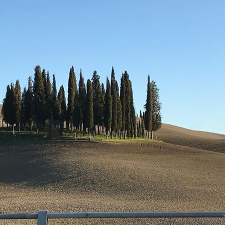 Il Giuggiolo Apartamento Montalcino Exterior foto