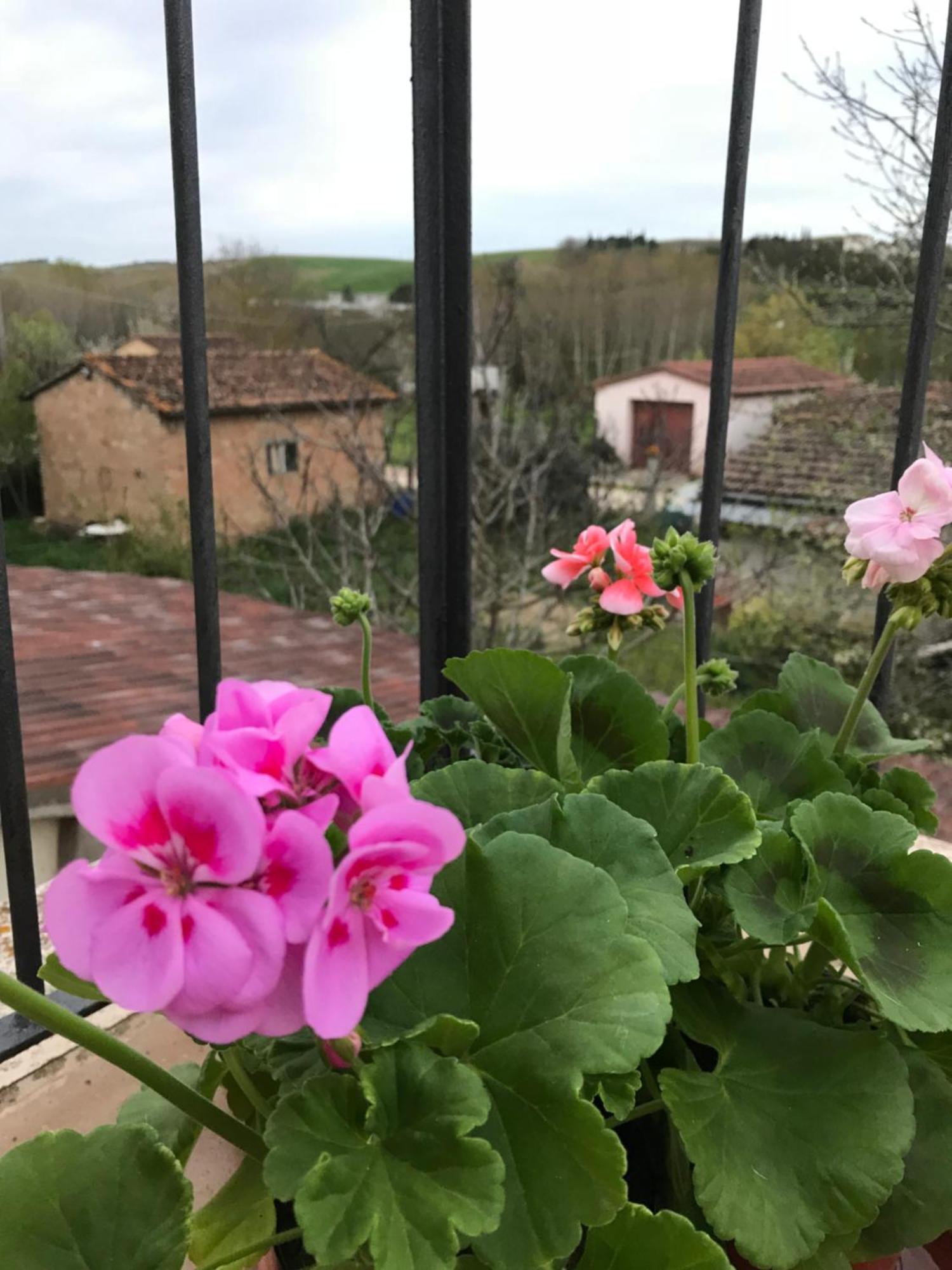 Il Giuggiolo Apartamento Montalcino Exterior foto