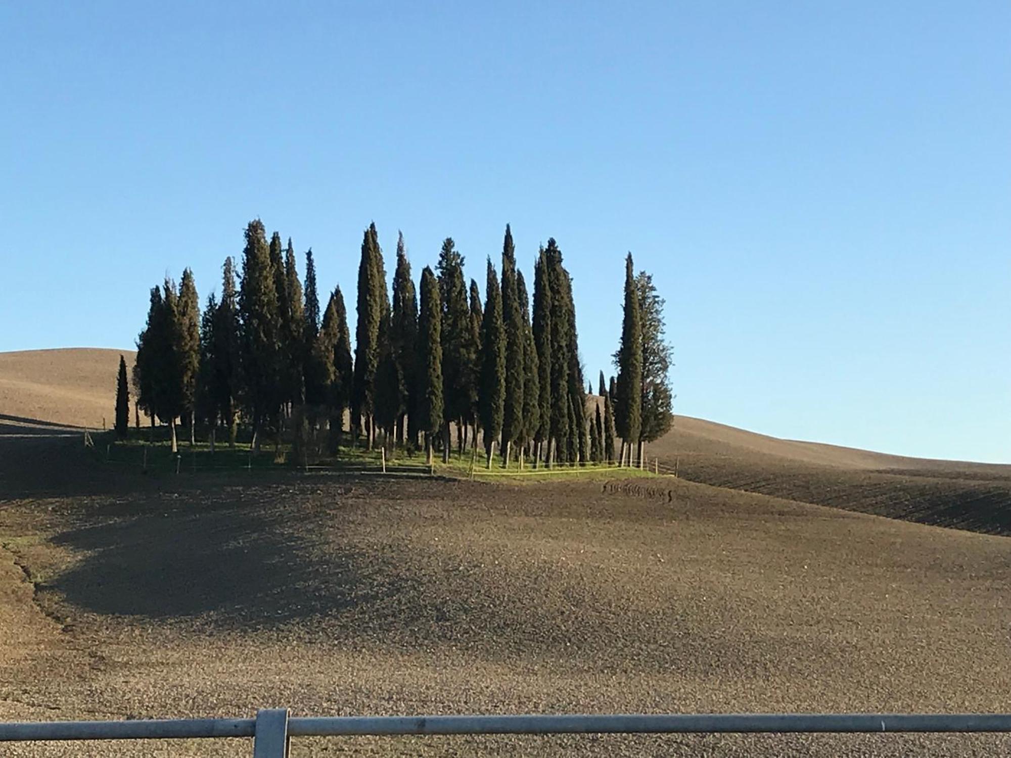 Il Giuggiolo Apartamento Montalcino Exterior foto