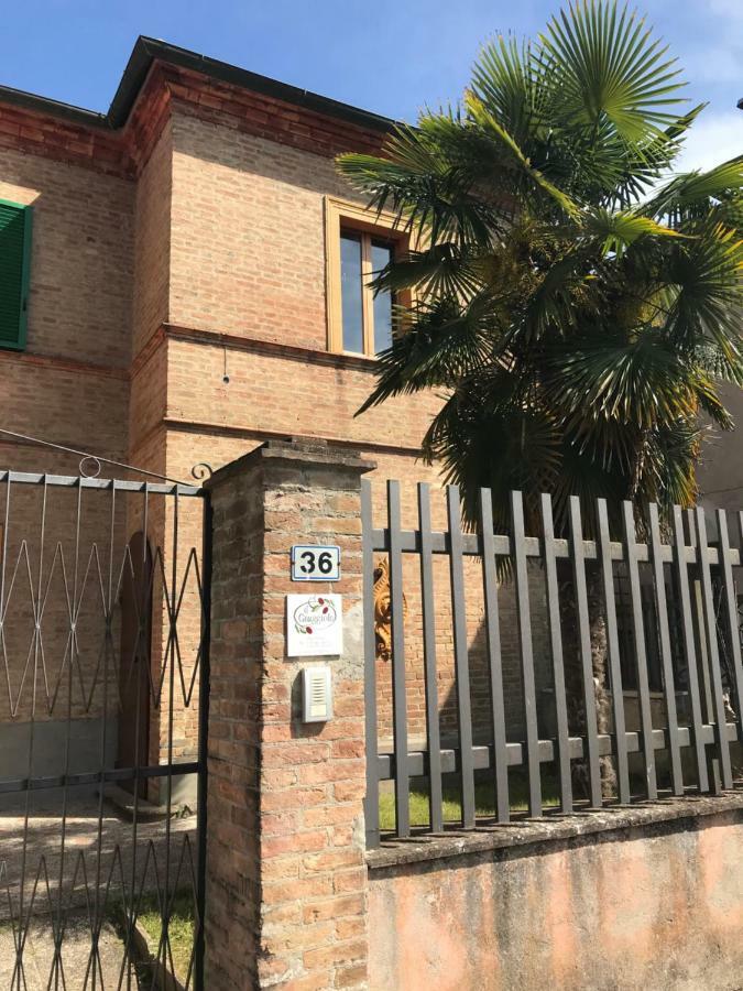 Il Giuggiolo Apartamento Montalcino Exterior foto